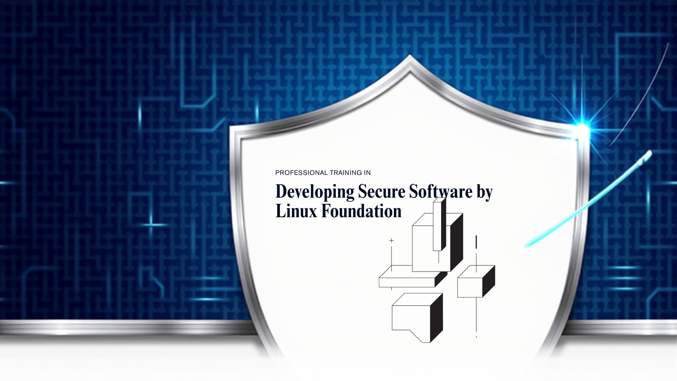 Developing Secure Software